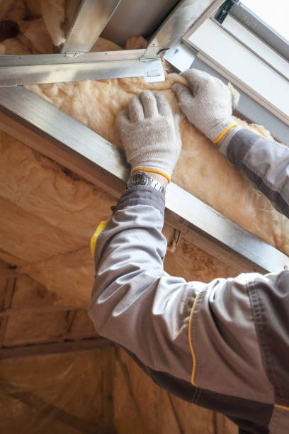 Attic Insulation Near Me in Jekyll Island, GA
