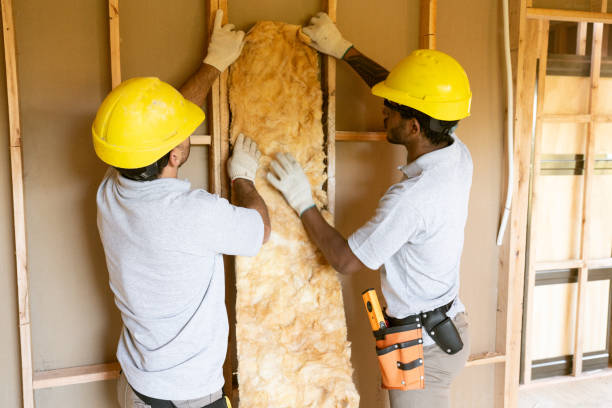 Best Insulation for Commercial Buildings  in Jekyll Island, GA