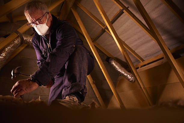 Professional Insulation Contractor in Jekyll Island, GA